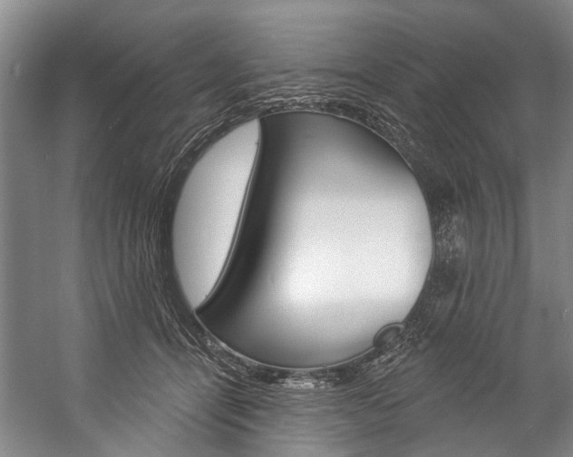 X0000057090464200509090943