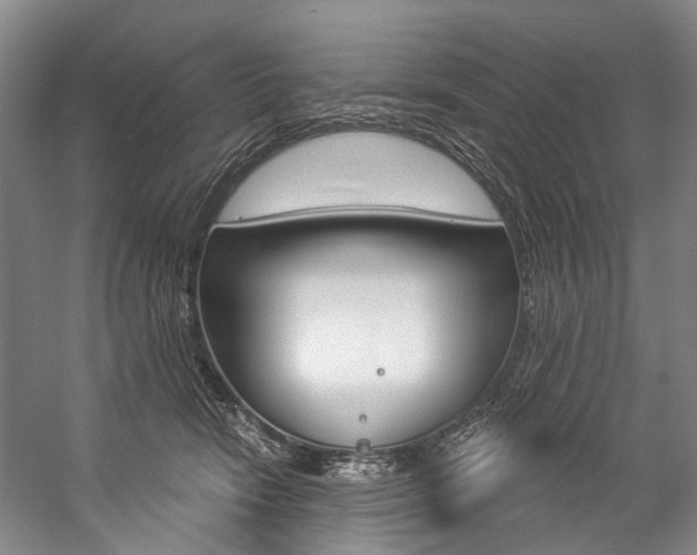 X0000057090466200509090943