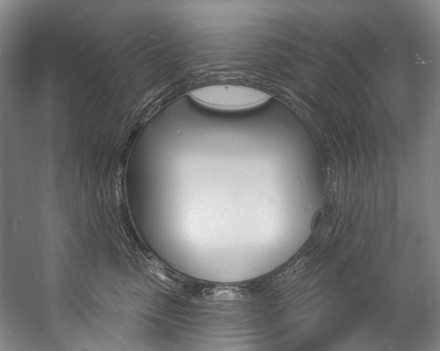 X0000057090475200509090943