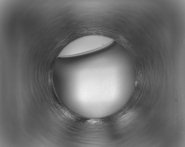 X0000057090477200509090943