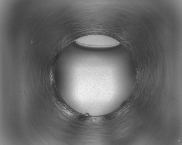 X0000057090479200509090943