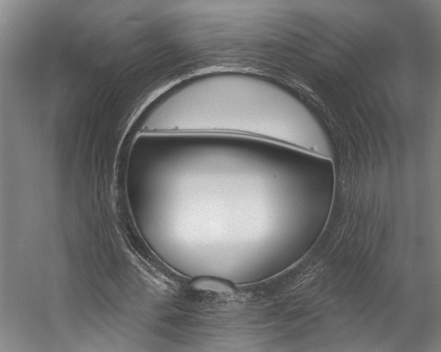 X0000057090484200509090943