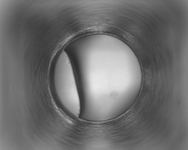 X0000057090486200509090943