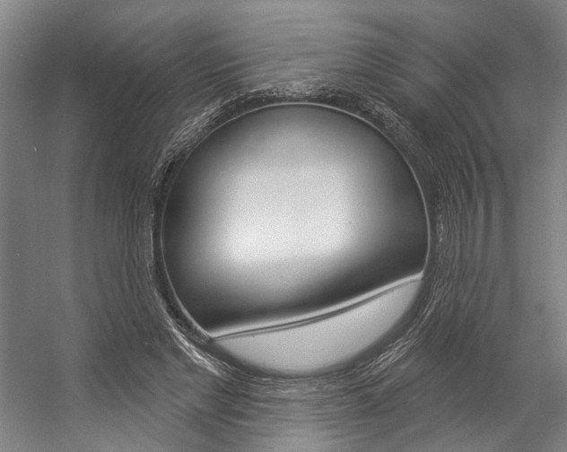 X0000057090493200509090942