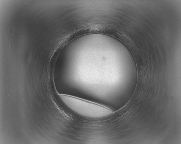 X0000057090496200509090942
