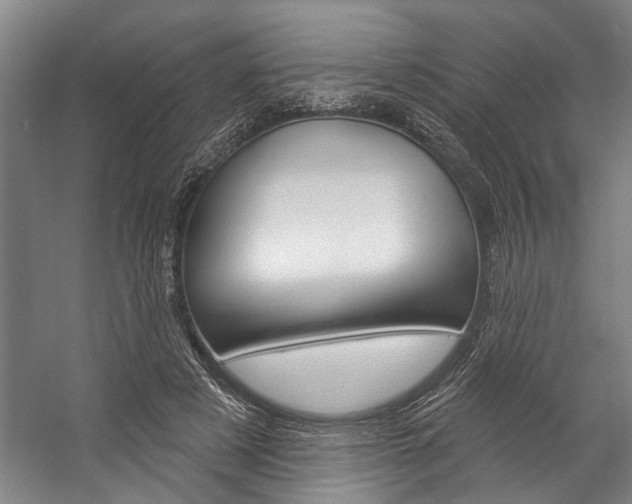 X0000057090497200509090942