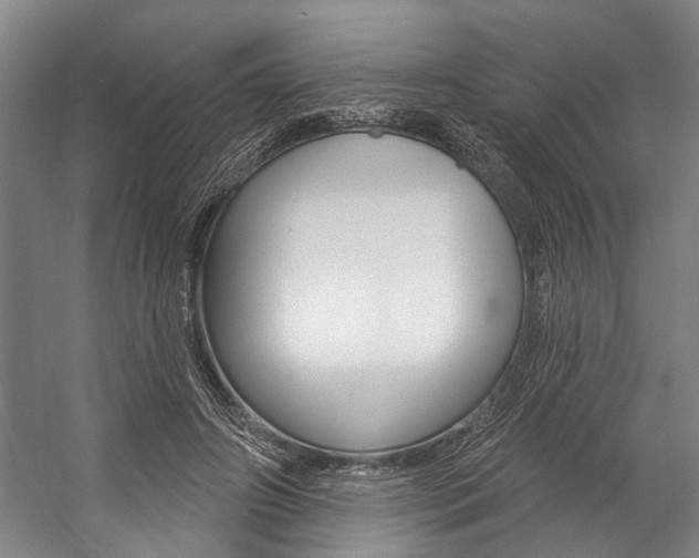 X0000057090498200509090942