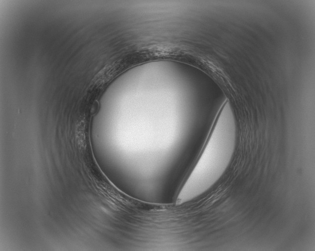 X0000057090509200509090942