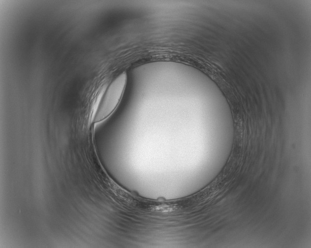 X0000057090511200509090942