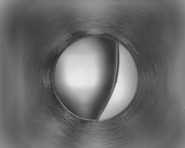 X0000057090517200509090942
