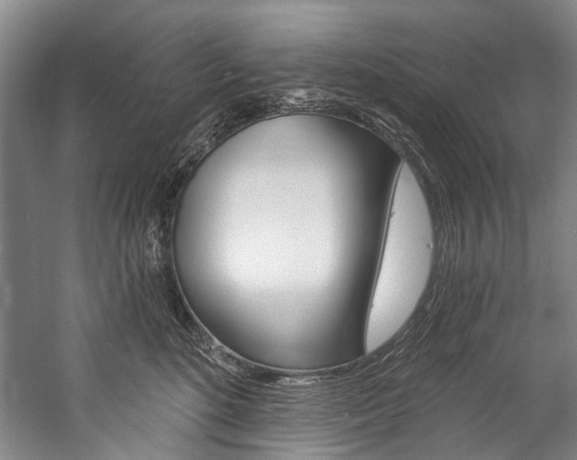 X0000057090520200509090942