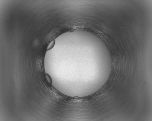 X0000057090523200509090942