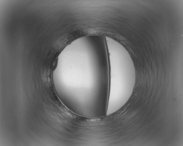 X0000057090525200509090942