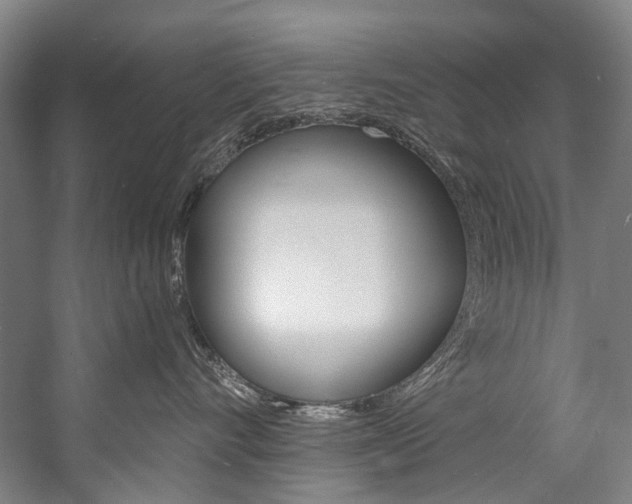X0000057090528200509090942