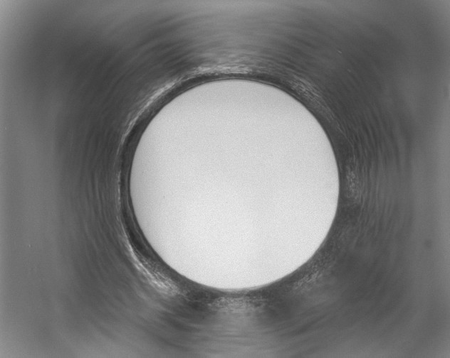 X0000057090534200509090941