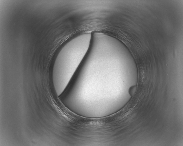 X0000057090541200509090941