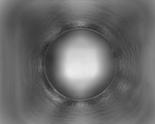 X0000057090546200509090941