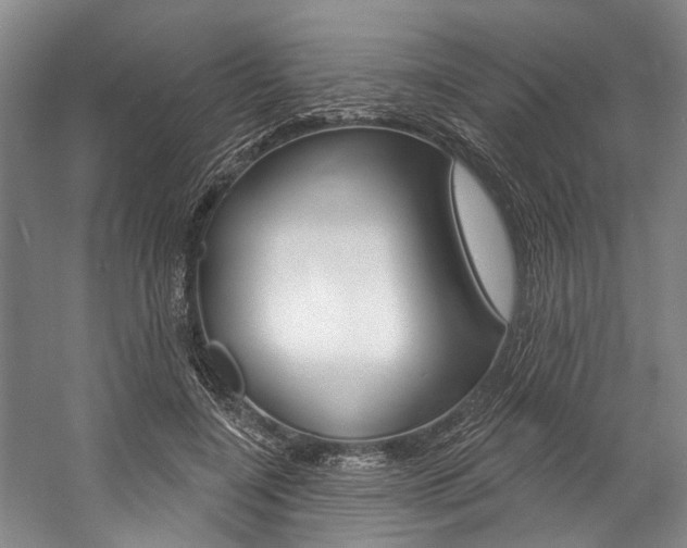 X0000057090548200509090941