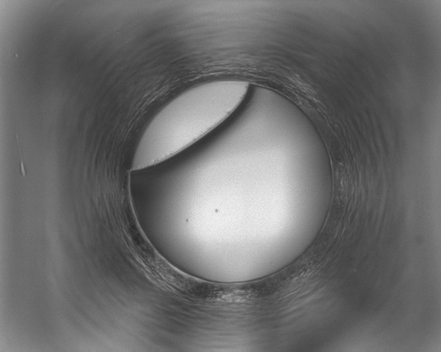 X0000057090550200509090941