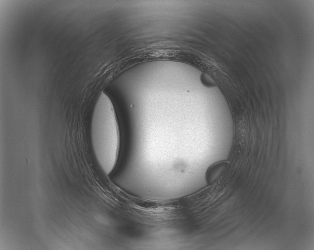 X0000057090554200509090941