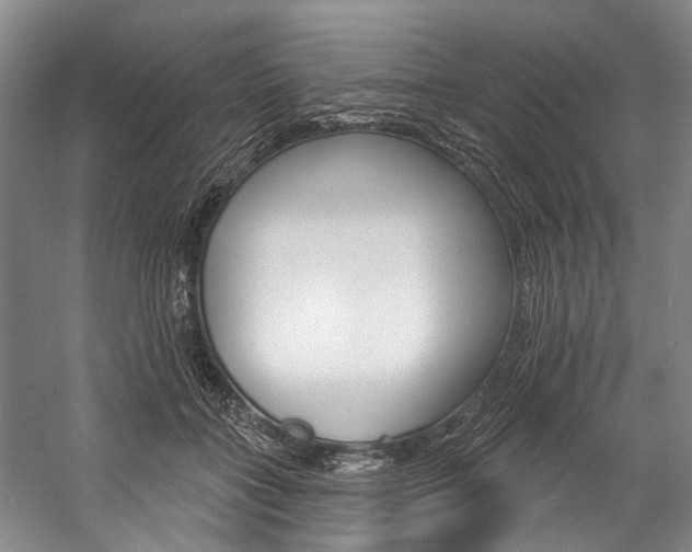 X0000057090555200509090941