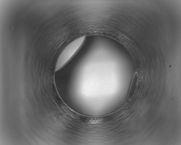 X0000057090560200509090942