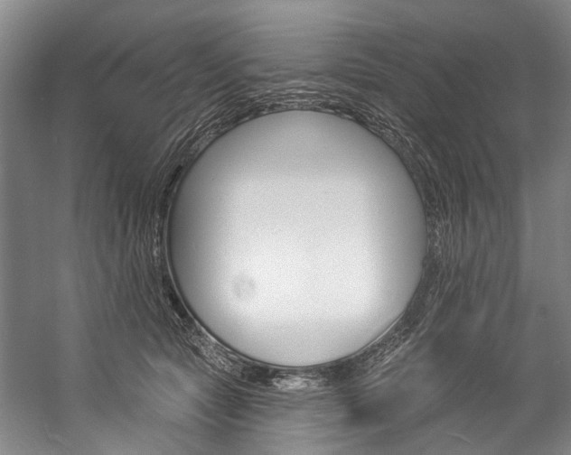 X0000057090561200509090942