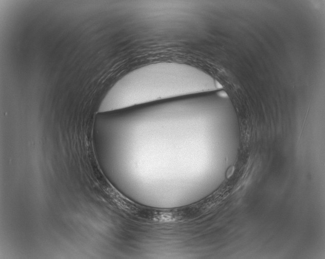 X0000057090565200509090942