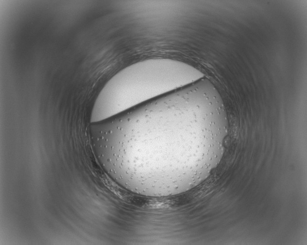 X0000057090569200509090942