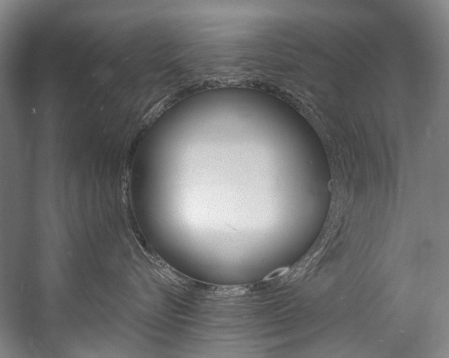 X0000057090576200509090942