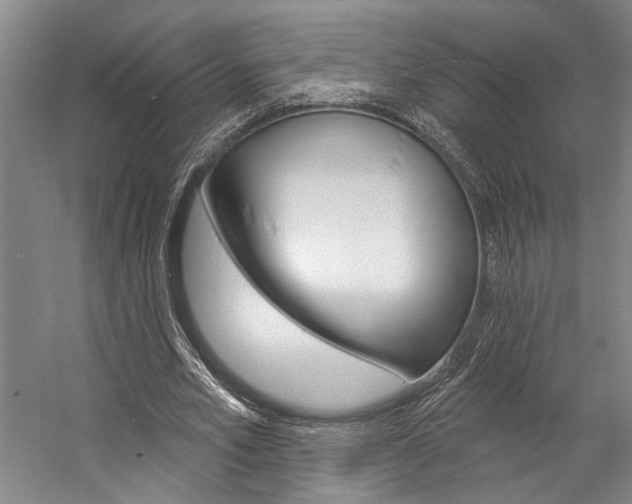 X0000057090581200509090941