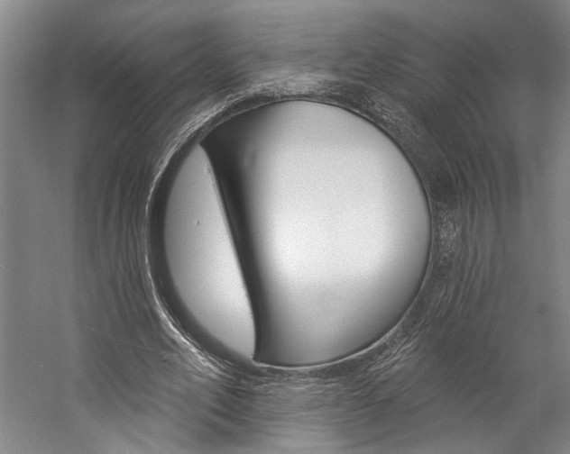 X0000057090582200509090941