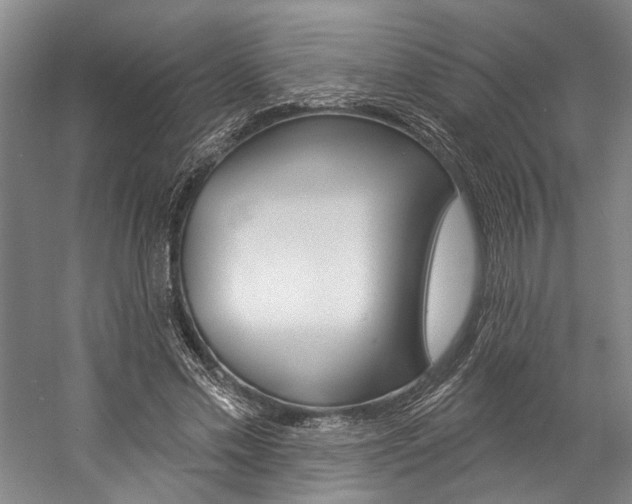 X0000057090589200509090941