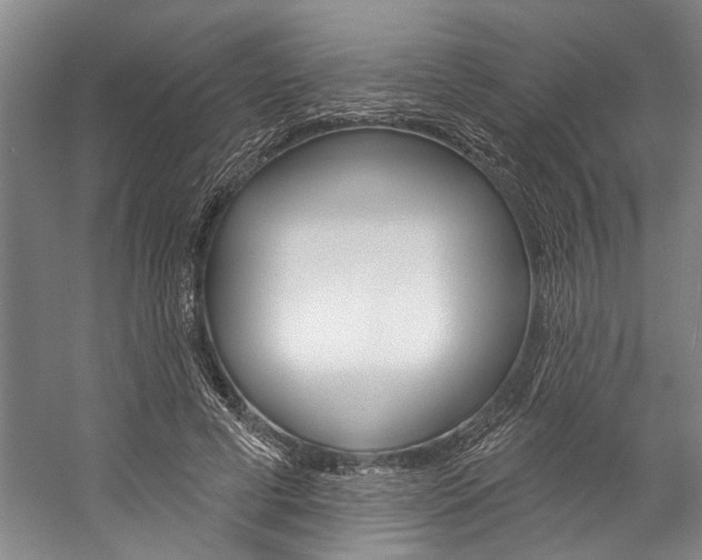 X0000057090593200509090941