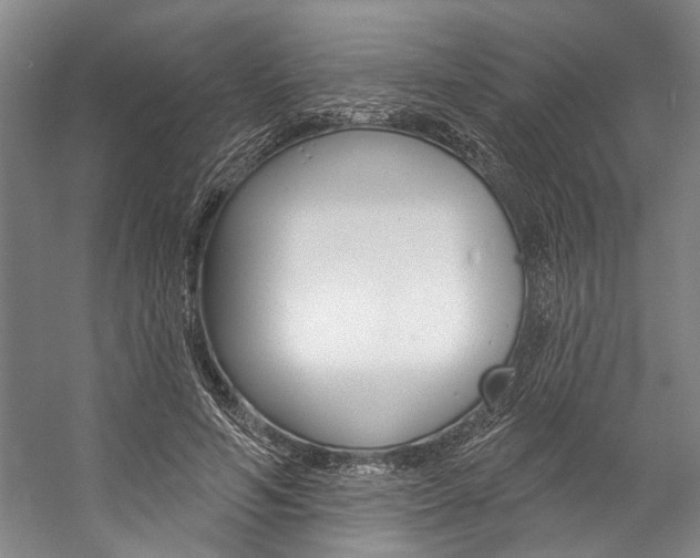 X0000057090594200509090941