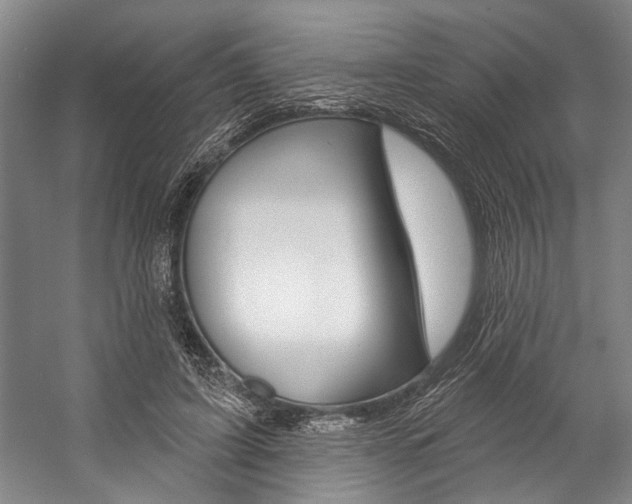 X0000057090595200509090941