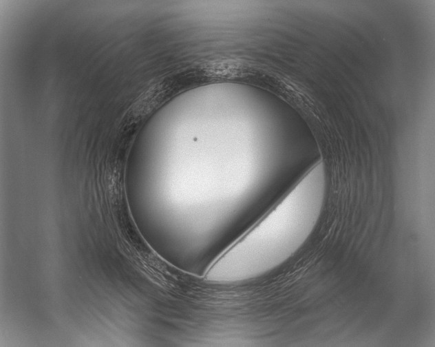 X0000057090601200509090941