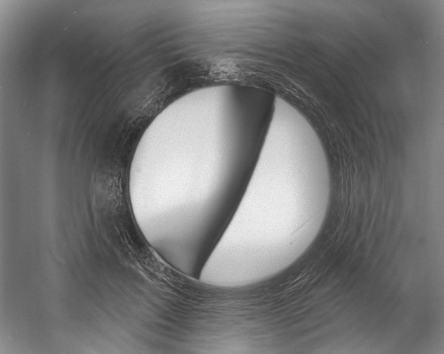 X0000057090603200509090941