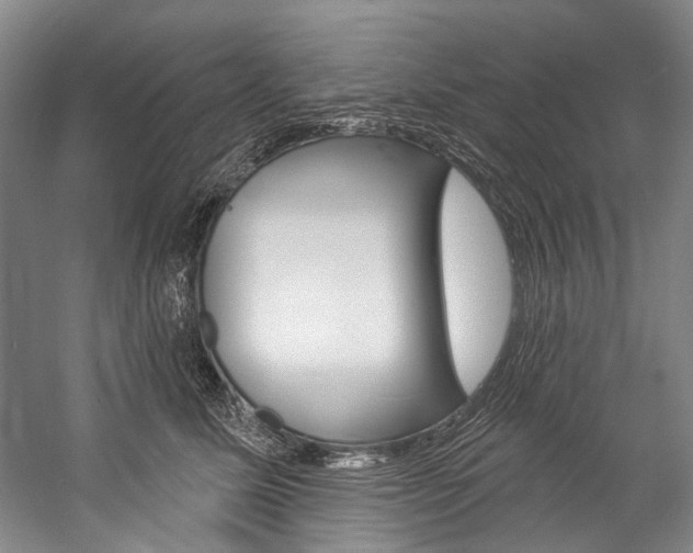 X0000057090611200509090940