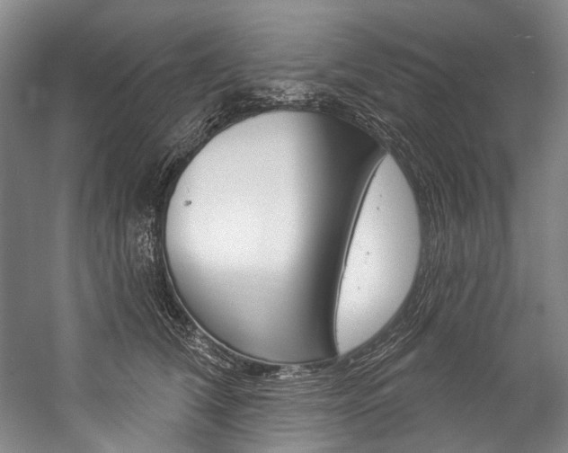 X0000057090612200509090940