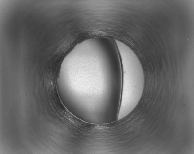 X0000057090617200509090940