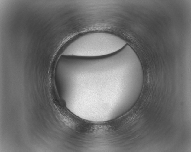 X0000057090636200509090940