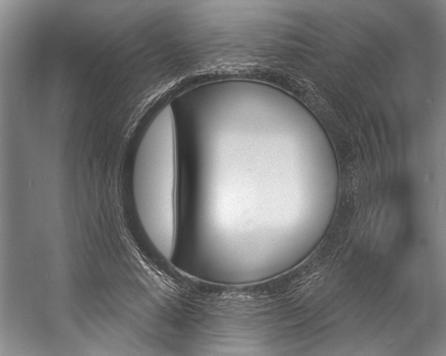 X0000057090640200509090940