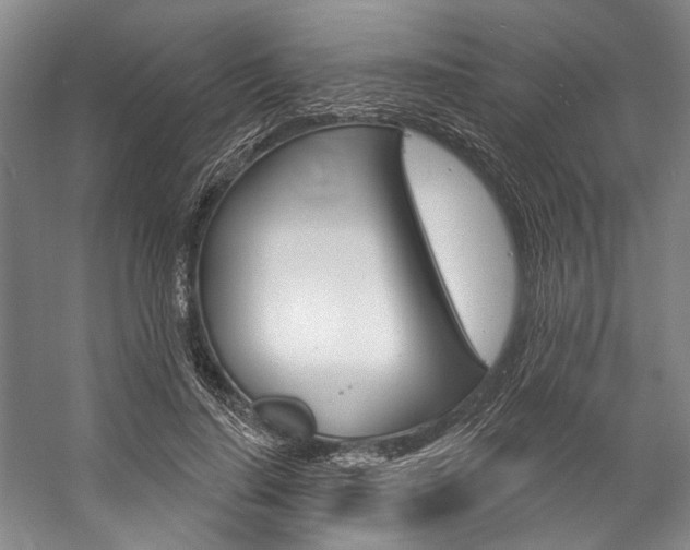 X0000057090644200509090940