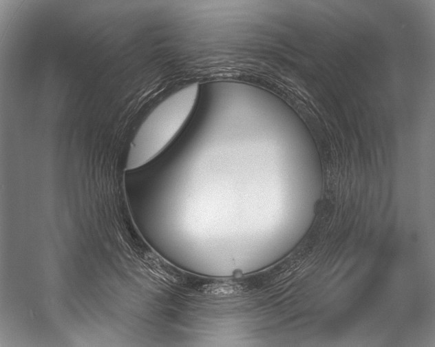 X0000057090652200509090940