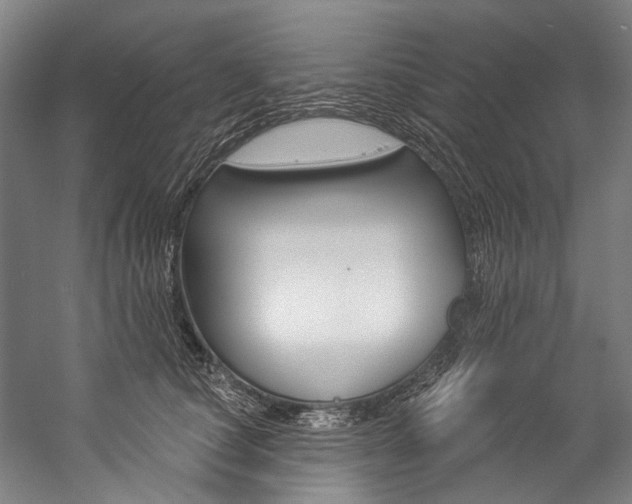 X0000057090660200509090940