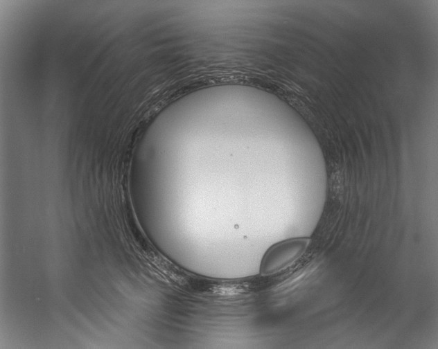 X0000057090662200509090940