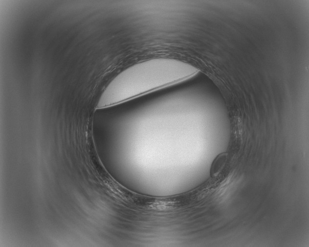X0000057090664200509090940