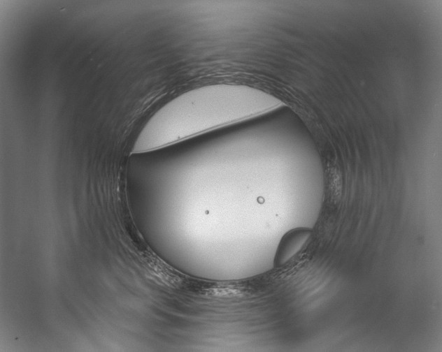 X0000057090668200509090940
