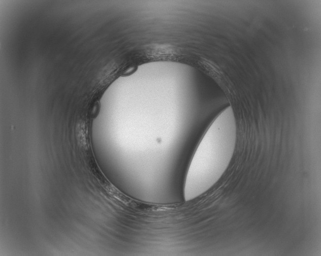 X0000057090669200509090940